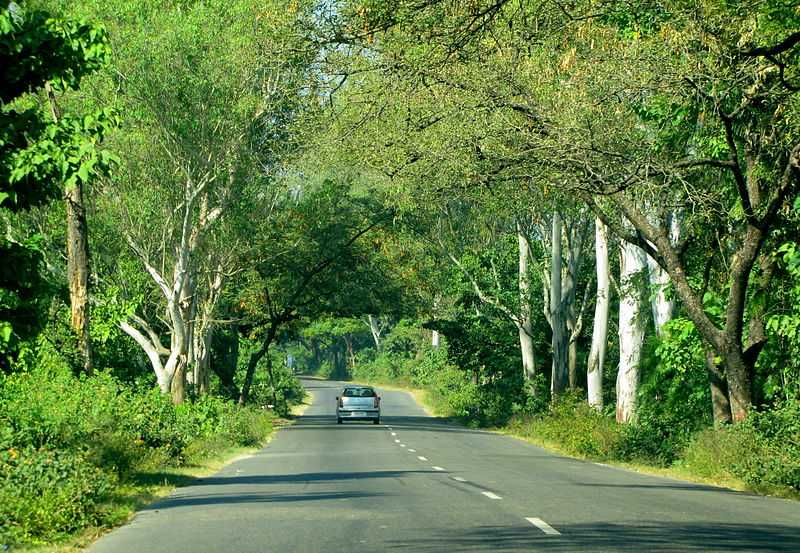 Dehradun
