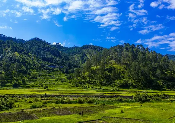 Chopta Tour Package From Delhi